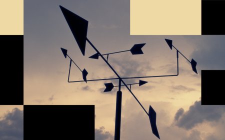 Have CEOs Lost the Plot?