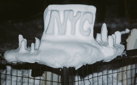 The Brooklyn Park Where Dozens of Snow Sculptures Bloomed