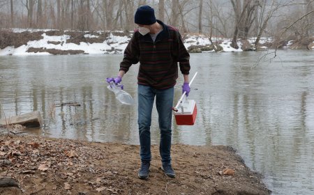 Potomac River Reopens for Some Uses After Sewer Collapse