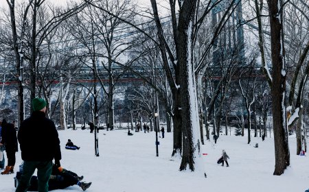 What the Snowstorm Looked Like Across the Northeast