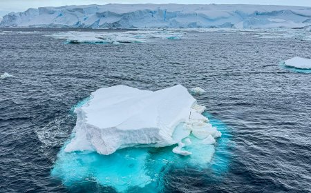 How Antarctica turns your world upside down.