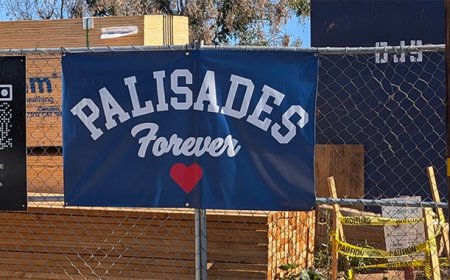 Progressive Bureaucracy Is a Never Ending Exercise in Grifting Incompetents Failing Upward