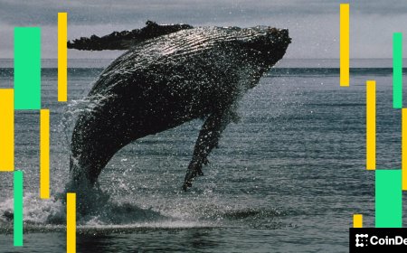 A single crypto trader is sitting on a $194 million bet that bitcoin and ether will keep climbing