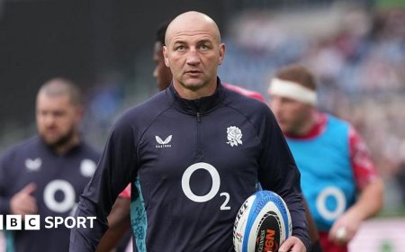 Pressure of representing England has shown - Borthwick
