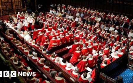 Hereditary peers to be removed from Lords as bill passes