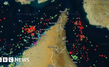 Strait of Hormuz timelapse shows fall in shipping traffic