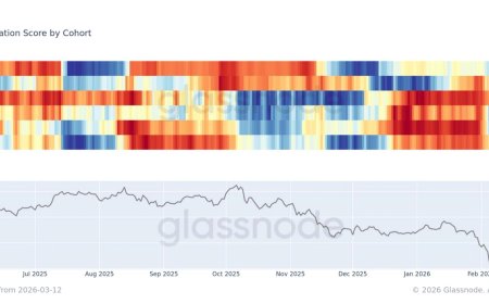 Bitcoin selling intensifies across all wallet sizes despite price holding near $70,000