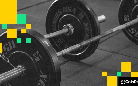 Memecoins outpace bitcoin, ether as 'barbell strategy' wins out