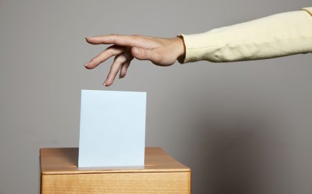 Trump-backed WLFI passes proposal letting $5 million stakers buy 'direct access' to team