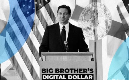 How Florida's Stablecoin Bill Mirrors 'Big Brother' Tools Outlawed Under Ron DeSantis' CDBC Ban
