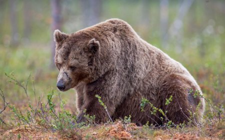 Crypto firms cut hundreds of jobs in weeks, blaming weak markets, strong AI