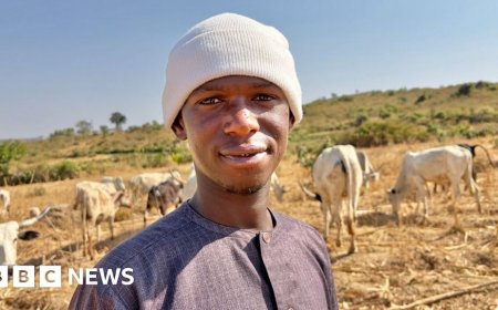 'Peace is a gradual thing': How land, cattle and identity fuel a deadly Nigerian conflict