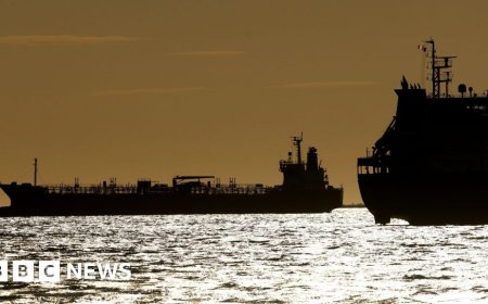 US lifts sanctions on some Iranian oil as energy prices soar