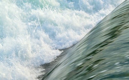 Investors yank $171 million from bitcoin ETFs in largest single-day outflow in three weeks