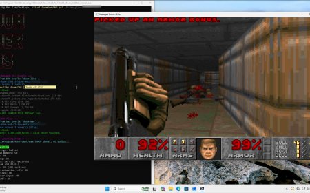 The D in DNS Stands for DOOM