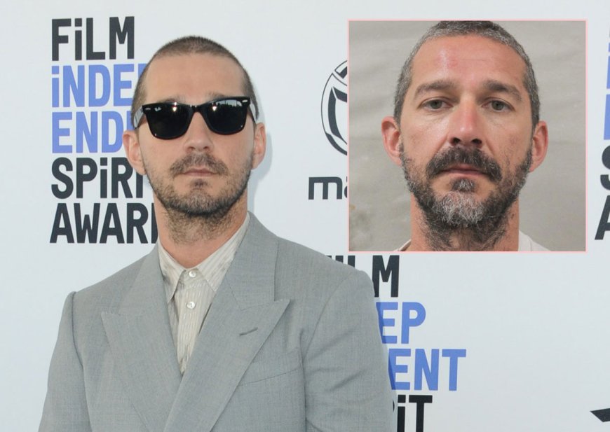 Shia LaBeouf Needs To 'Get Sober' Following Mardi Gras Arrest -- Concerned Source Fears He'll 'Die' If He Doesn't