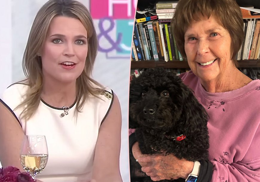 Nancy Guthrie Disappearance: Investigators Have Determined Who The Glove Found Near Her Home Belongs To!