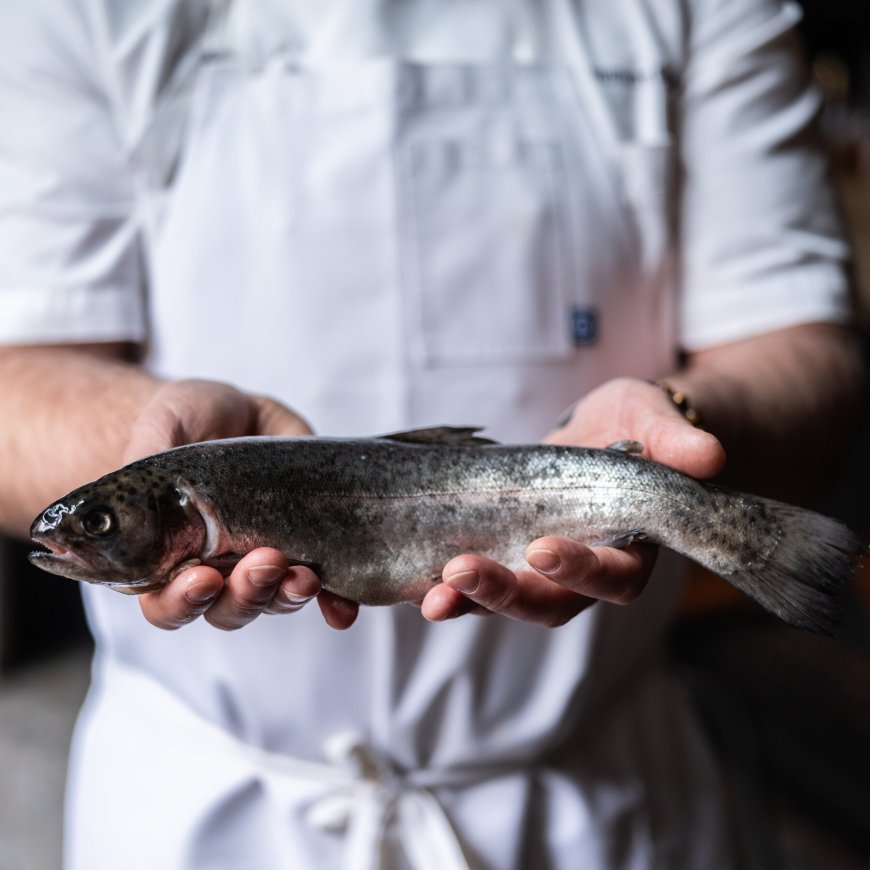 Monterey Bay Aquarium Seafood Watch Provide Sustainable Recommendations