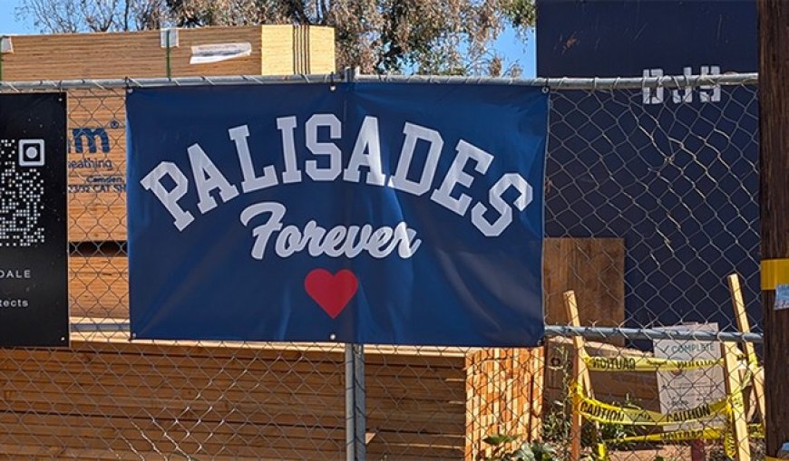 Progressive Bureaucracy Is a Never Ending Exercise in Grifting Incompetents Failing Upward