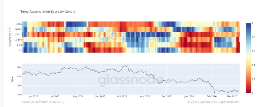 Bitcoin selling intensifies across all wallet sizes despite price holding near $70,000