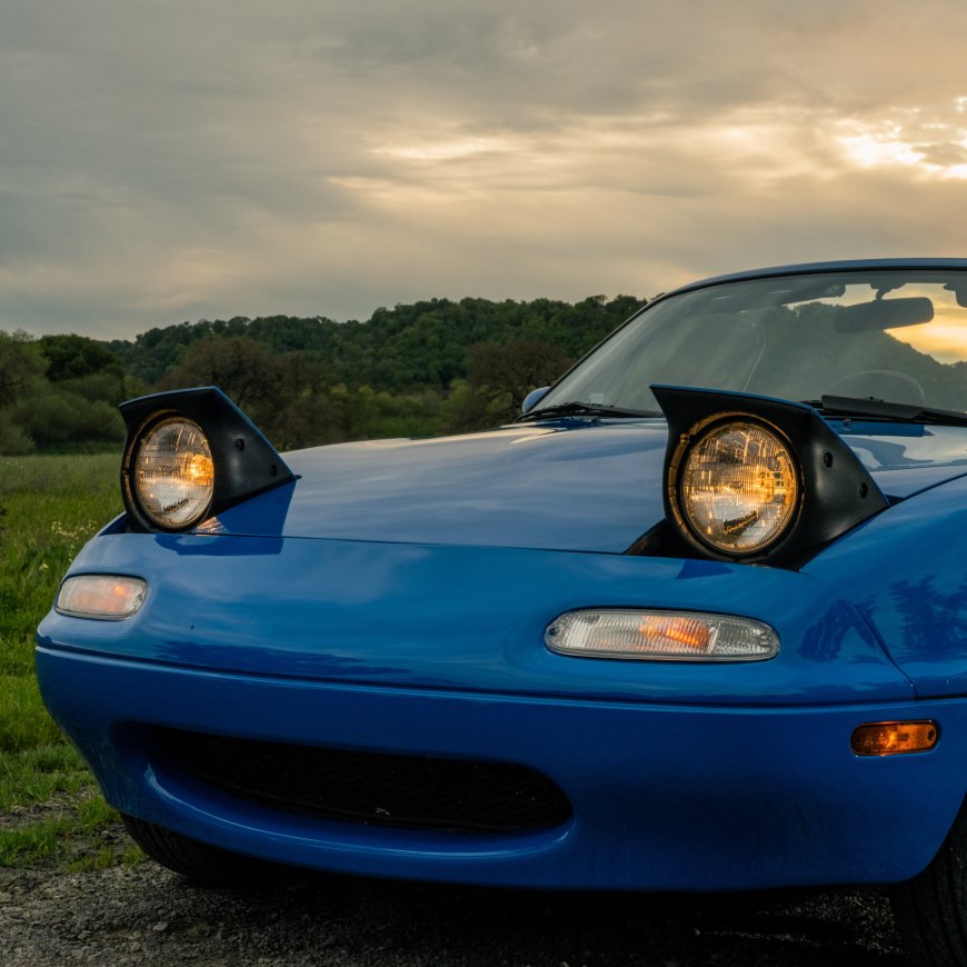 A Wink, a Nod or a Duck: The Secrets Behind Car Owners’ Secret Handshakes