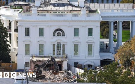 Judge temporarily halts construction of Trump's White House ballroom
