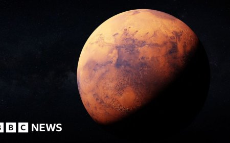Next stop, Mars? Why Nasa's mission matters