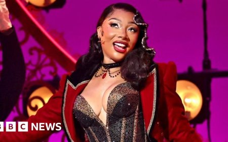 Megan Thee Stallion taken to hospital during Moulin Rouge performance