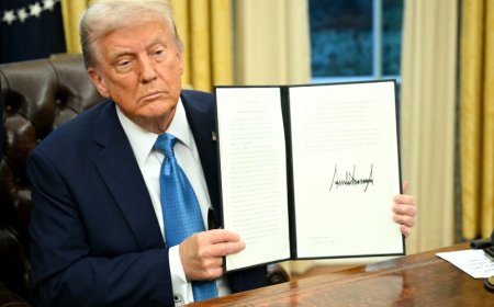 A Few Timely Thoughts on Birthright Citizenship