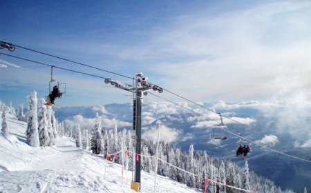 Albertans Reach the Separation Signature Threshold - Next Up, Referendum