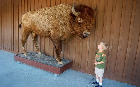 When Executive Presence Backfires