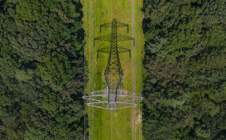 How Leaders Can Get Strategic About Energy Costs