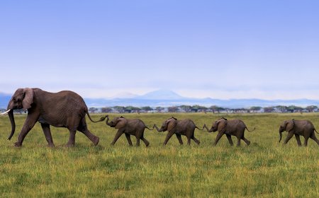 How to Convince Others to Trust Your Instincts