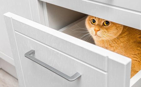 Leaders Feel Their Agency Eroding—and They’re Starting to Withdraw