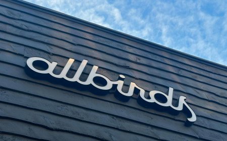 Allbirds abandons sneakers in pivot to AI computing, shares surge 400%