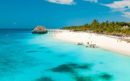 Crypto fund manager probed in the suspicious death of his fiancée in Zanzibar