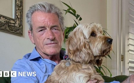 Dog walker beaten with hockey stick by top horse trainer says his jail term is too soft