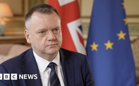 UK seeks closer EU ties in volatile times - but at what cost?