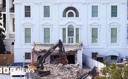 Judge halts above-ground construction of Trump's White House ballroom