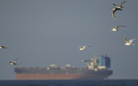 Spoofed Tankers Are Flooding the Strait of Hormuz. These Analysts Are Tracking Them