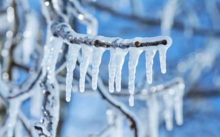 Inside the $71 million freeze on Arbitrum that has the crypto world questioning what decentralization really means