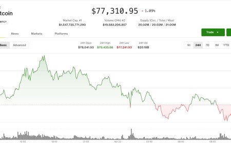 Bitcoin slips from near $80,000 as oil price increase weighs on risk assets