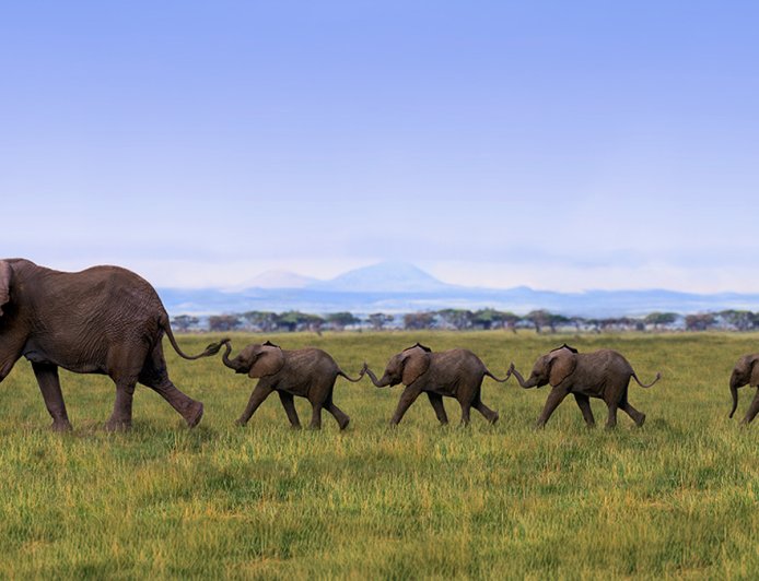 How to Convince Others to Trust Your Instincts