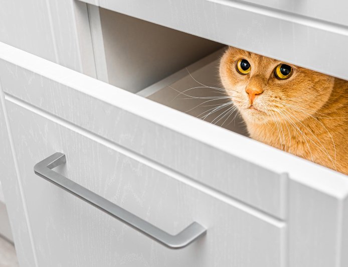 Leaders Feel Their Agency Eroding—and They’re Starting to Withdraw