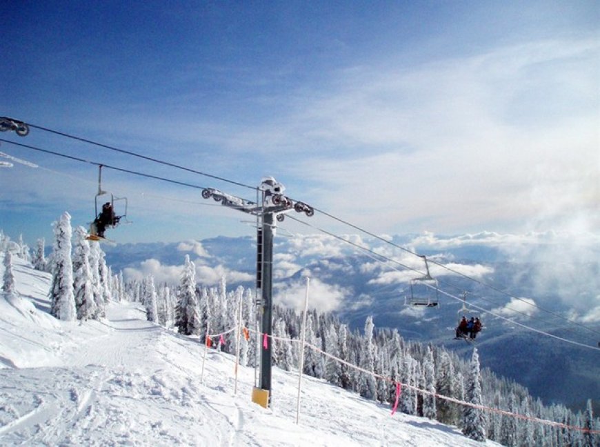 Albertans Reach the Separation Signature Threshold - Next Up, Referendum