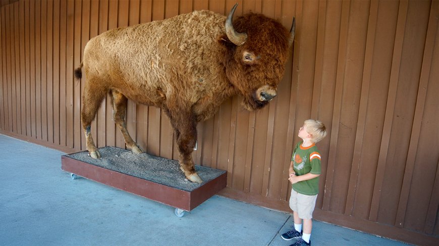 When Executive Presence Backfires