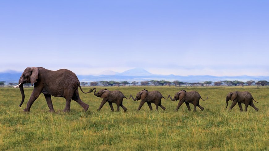 How to Convince Others to Trust Your Instincts