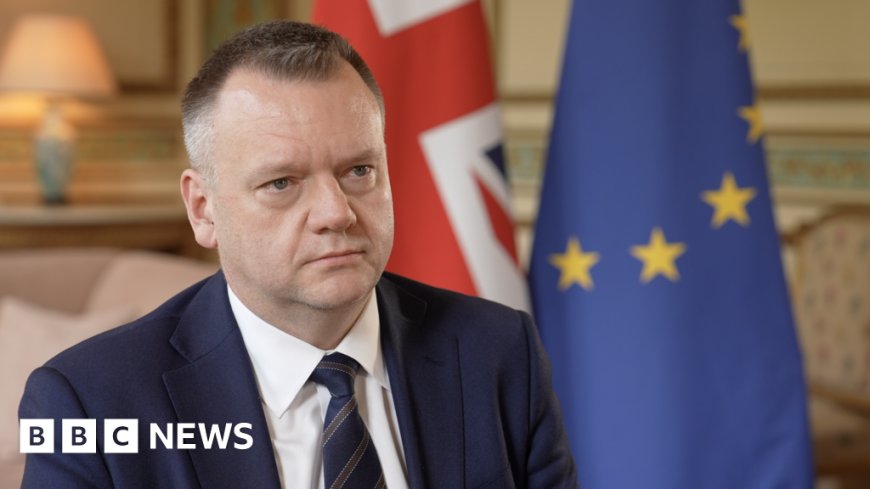 UK seeks closer EU ties in volatile times - but at what cost?