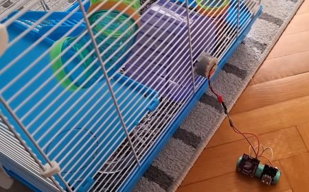 Using Hamster Power to Charge a Phone