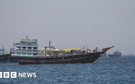 What is Trump's 'Project Freedom' in the Strait of Hormuz?